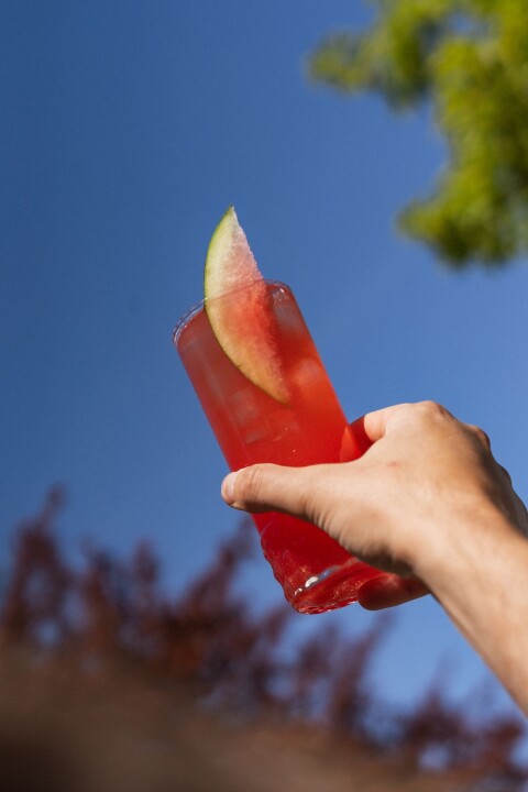Watermelon Cocktail